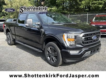 Used 2023 Ford F150 XLT w/ Equipment Group 302A High
