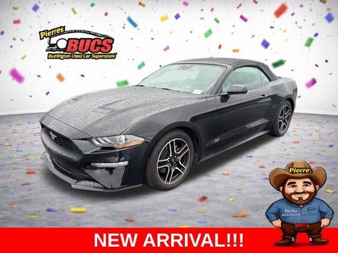 Used 2022 Ford Mustang Premium image 1