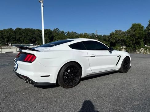Used 2019 Ford Mustang Shelby GT350 w/ Technology Package RWD image 3