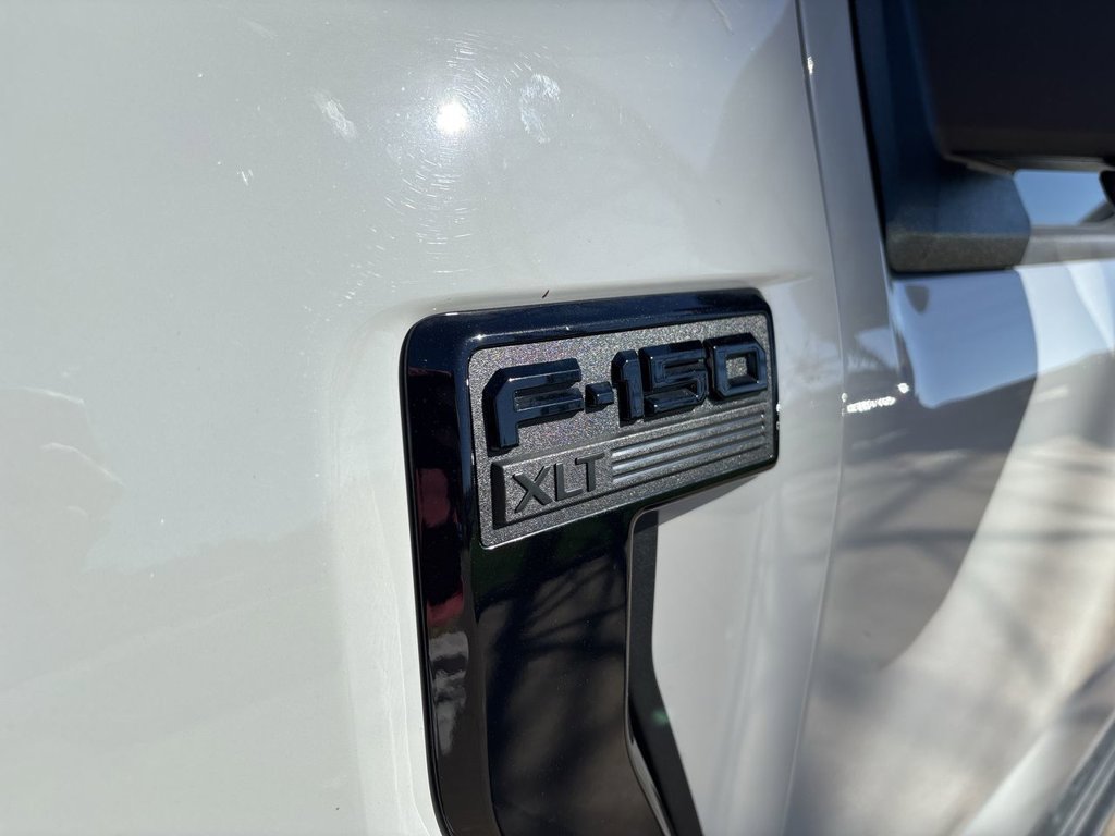 Used 2024 Ford F150 XLT w/ Equipment Group 302A MID AWD/4WD image 36