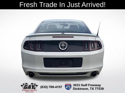 Used 2014 Ford Mustang Premium w/ Equipment Group 202A RWD image 8