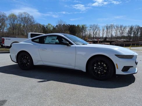 New 2026 Ford Mustang Coupe w/ Mustang Nite Pony Package image 2
