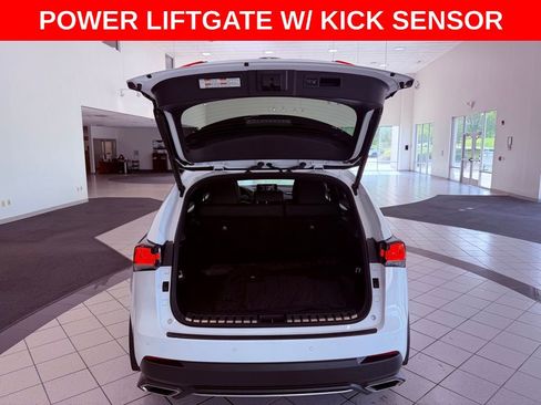 Used 2020 Lexus NX 300 F Sport w/ F Sport Premium Package image 8