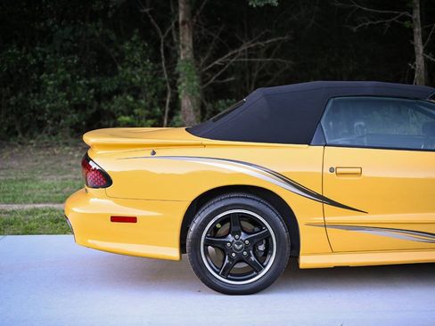 Used 2002 Pontiac Firebird Trans Am RWD image 10