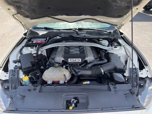 Used 2015 Ford Mustang 50 Years RWD image 3