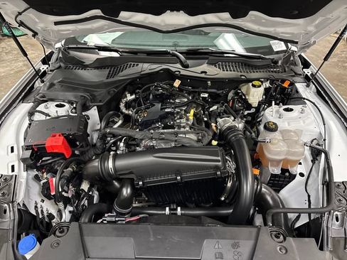 Used 2025 Ford Mustang Coupe w/ Mustang Nite Pony Package RWD image 18
