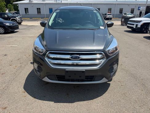 Used 2019 Ford Escape SE AWD/4WD image 8