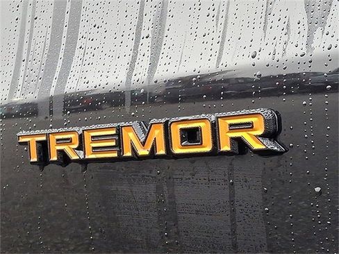 New 2026 Ford Expedition Tremor image 10