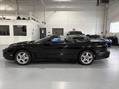 Used 2001 Pontiac Firebird Trans Am RWD image 11