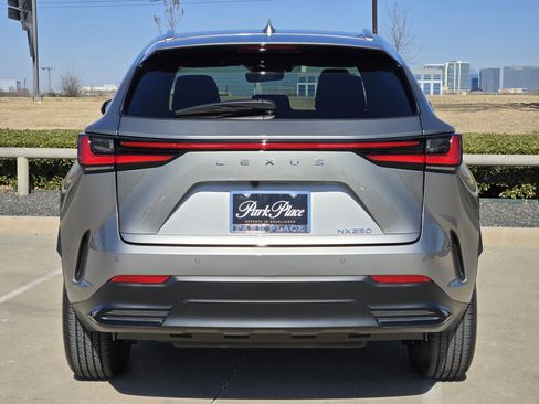 Used 2025 Lexus NX 250 image 5