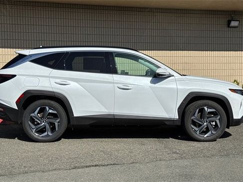 New 2024 Hyundai Tucson Limited image 5