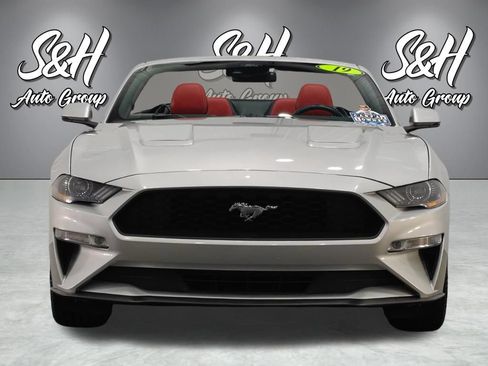 Used 2019 Ford Mustang Premium w/ Equipment Group 201A RWD image 15