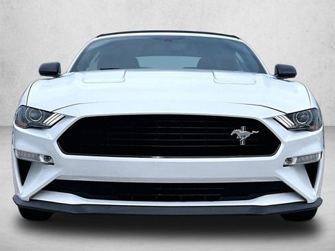Used 2019 Ford Mustang GT Premium w/ Equipment Group 401A RWD image 3