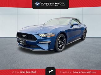 Used 2023 Ford Mustang Premium video 1