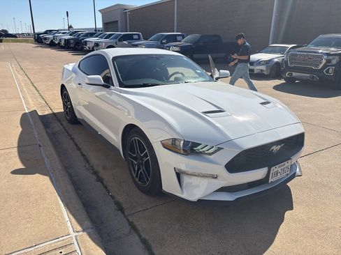 Used 2019 Ford Mustang Coupe w/ Equipment Group 101A image 4