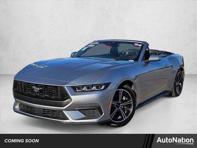 Used 2024 Ford Mustang Premium