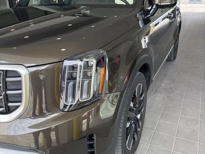 Certified 2024 Kia Telluride SX