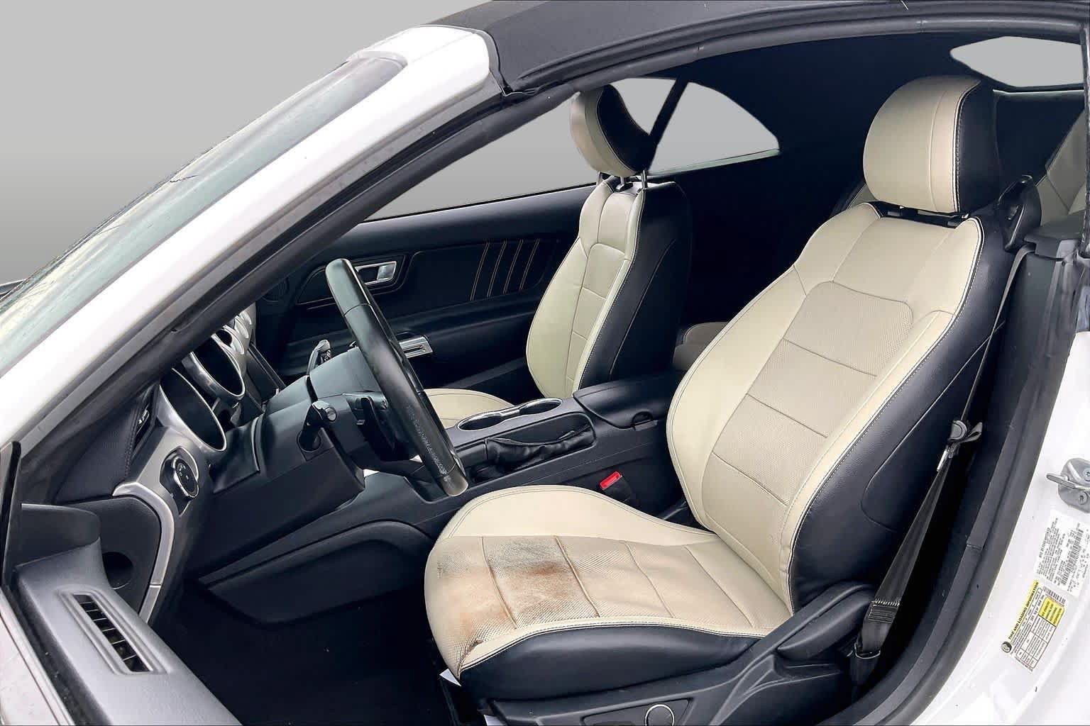 Used 2019 Ford Mustang Premium w/ Ford Safe & Smart Package RWD image 8