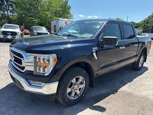 Used 2021 Ford F150 XLT w/ Equipment Group 302A High AWD/4WD image 2