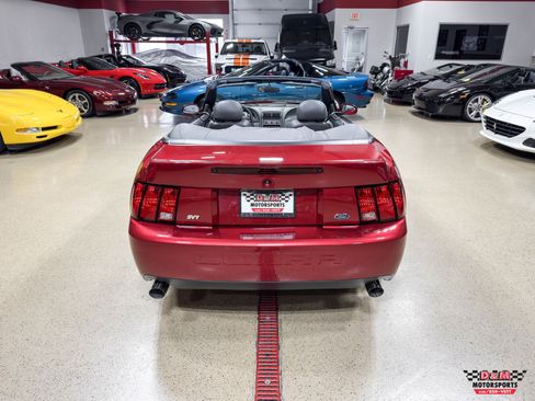 Used 2003 Ford Mustang SVT Cobra Convertible RWD image 43