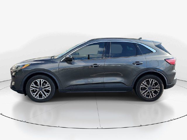 Used 2020 Ford Escape SEL FWD image 6