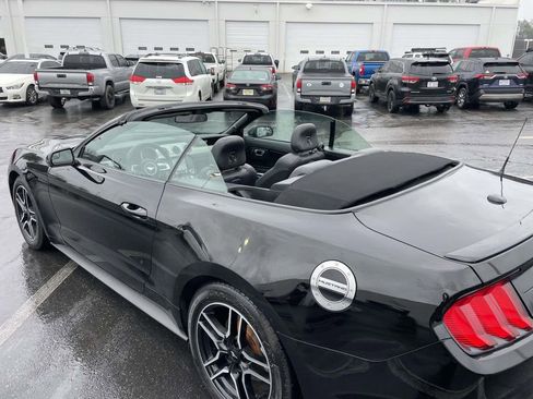 Used 2019 Ford Mustang Premium image 12