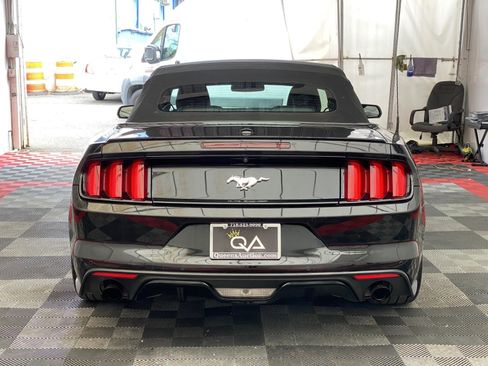 Used 2015 Ford Mustang Premium w/ Equipment Group 201A RWD image 5
