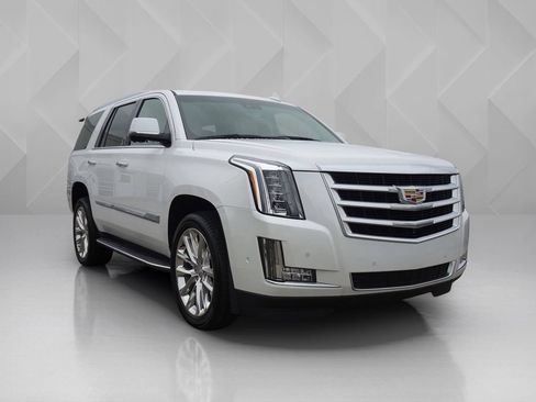 Used 2019 Cadillac Escalade Luxury AWD/4WD image 6