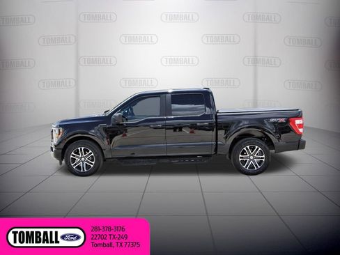 Certified 2023 Ford F150 XL w/ STX Appearance Package RWD image 5