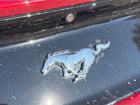 Used 2016 Ford Mustang Premium w/ Equipment Group 201A image 11