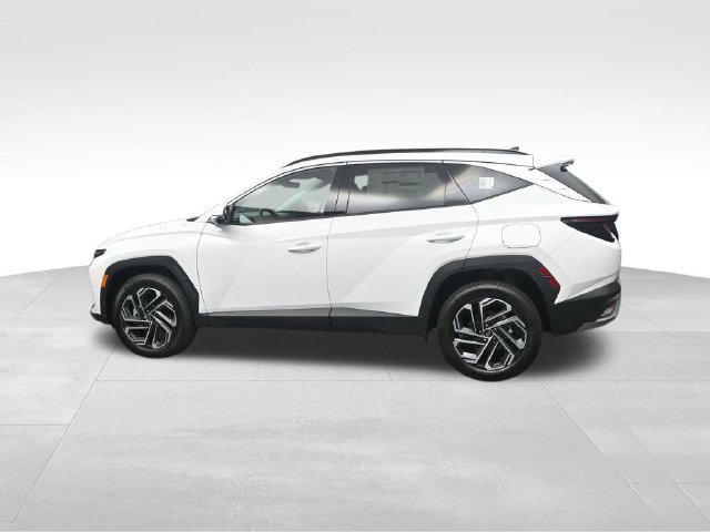 New 2026 Hyundai Tucson Limited AWD/4WD image 6
