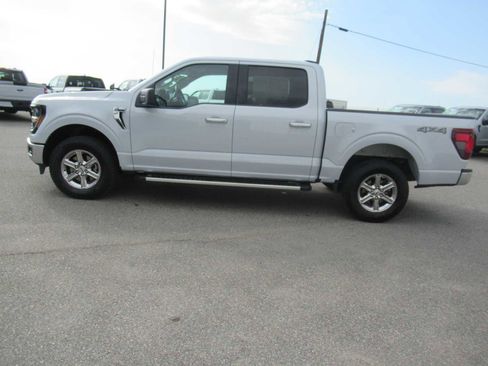 Used 2025 Ford F150 XLT w/ Equipment Group 301A Standard AWD/4WD image 8