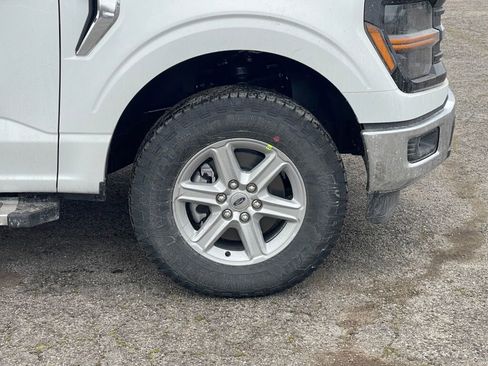 New 2025 Ford F150 XLT w/ Equipment Group 301A Standard image 16