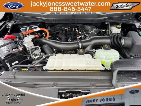 Certified 2024 Ford F150 XLT w/ Equipment Group 303A High AWD/4WD image 21