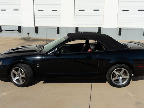 Used 2003 Ford Mustang Cobra image 5