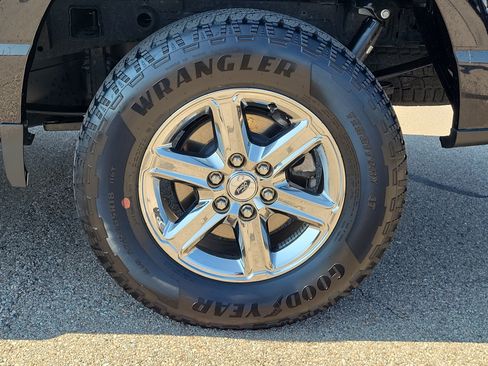Used 2025 Ford F150 XLT w/ Equipment Group 301A Standard AWD/4WD image 5