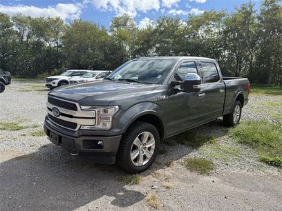 Certified 2019 Ford F150 Platinum