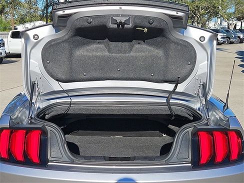 Used 2023 Ford Mustang Premium image 6