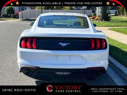 Used 2019 Ford Mustang Coupe image 5