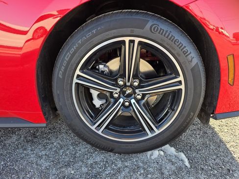 Used 2025 Ford Mustang EcoBoost image 30