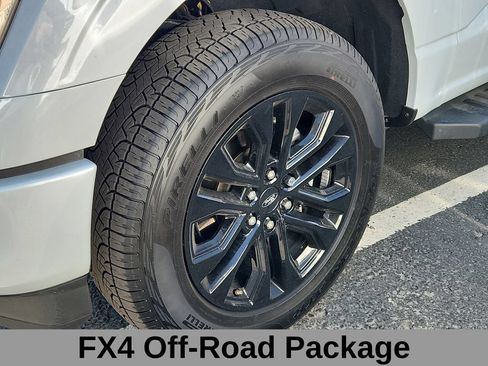Used 2025 Ford F150 XLT w/ Equipment Group 302A MID AWD/4WD image 6