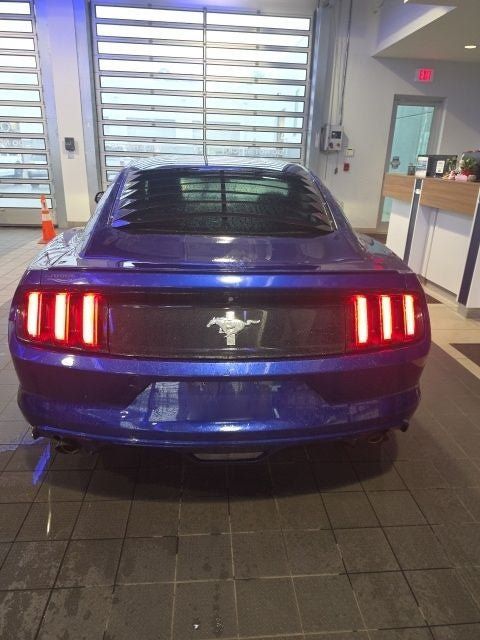 Used 2015 Ford Mustang Coupe w/ Equipment Group 051A RWD image 10
