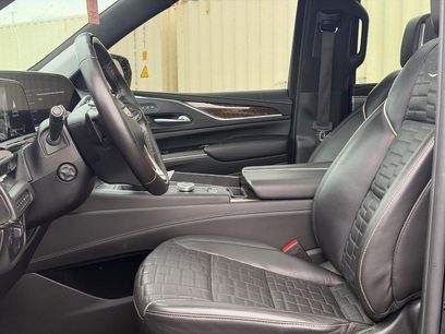 Used 2024 Cadillac Escalade Sport Platinum w/ LPO, ONYX Package