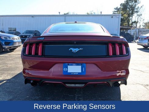 Used 2016 Ford Mustang Premium w/ Equipment Group 201A image 5