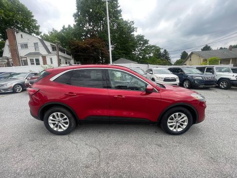 Used 2020 Ford Escape SE AWD/4WD image 5