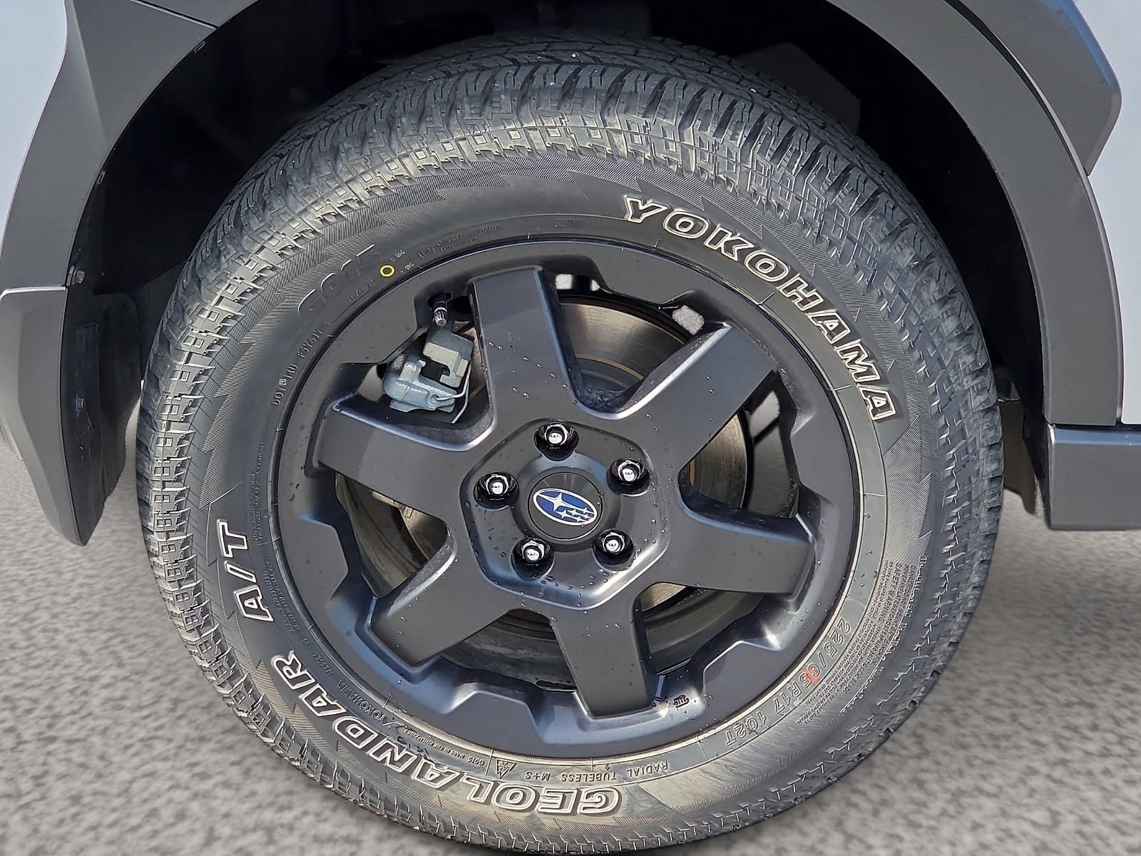 Certified 2024 Subaru Outback Wilderness AWD/4WD image 8
