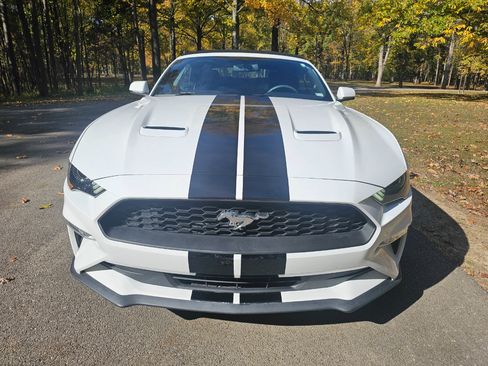 Used 2018 Ford Mustang Premium image 13