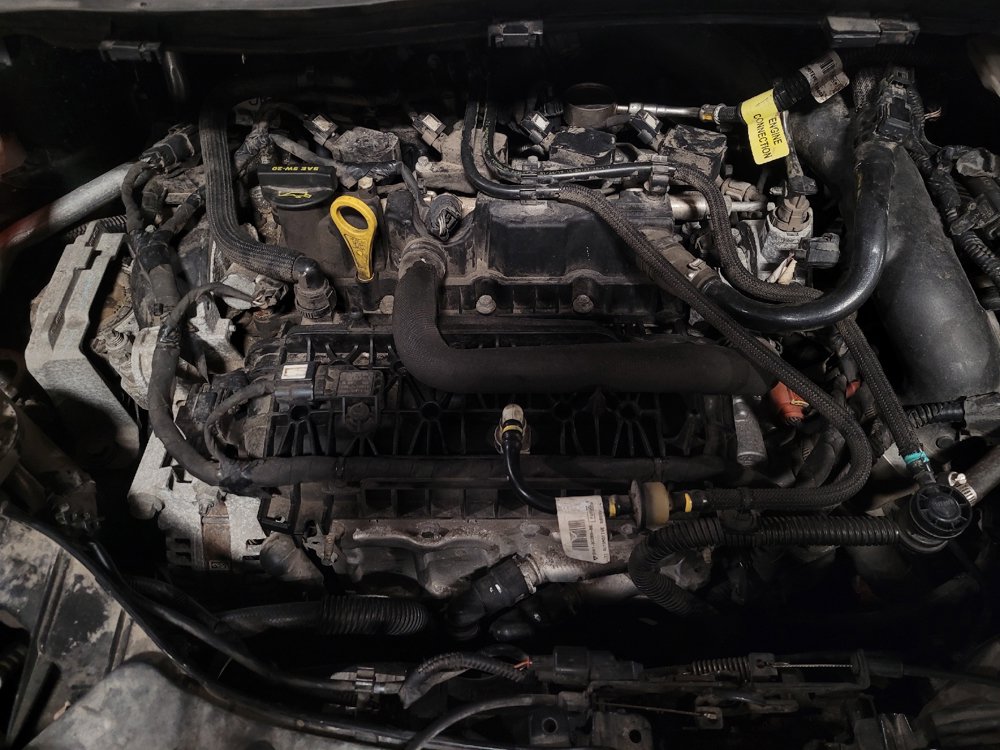 Used 2019 Ford Escape SE AWD/4WD image 30