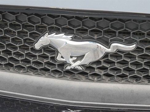 Used 2015 Ford Mustang GT w/ Enhanced Security Package image 6