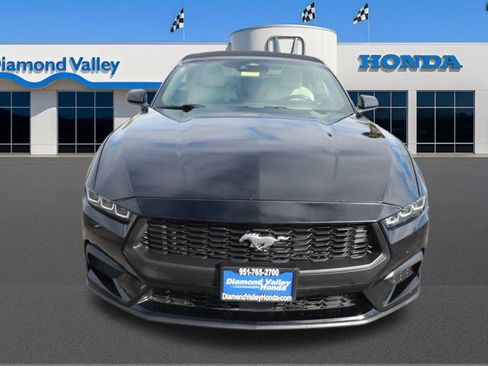 Used 2024 Ford Mustang Premium image 2
